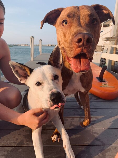 Carson & Naomi 