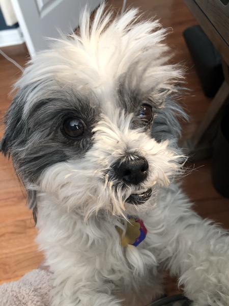 Maddie
