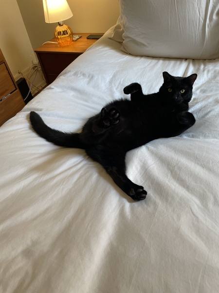 Simon