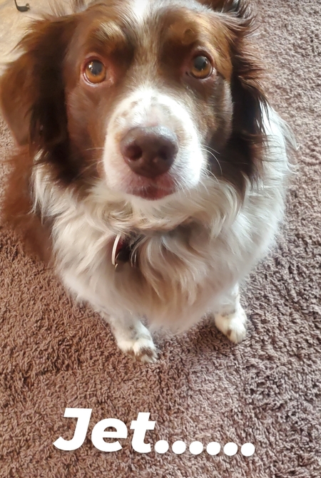 Jet