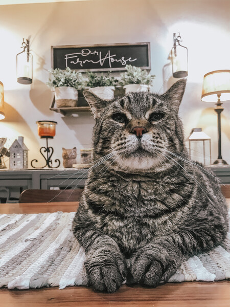 Mr. B