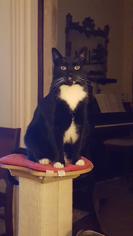Oliver