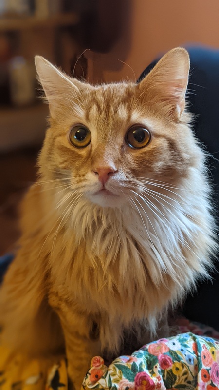 Walter