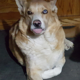 Entry image for Toby