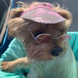 Entry image for Gracie 