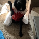Entry image for Bella