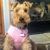 Entry image for Miss Betty