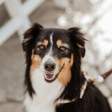 Entry image for Abby