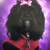 Entry image for Lettie
