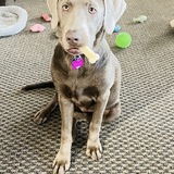 Entry image for Skye Cooper
