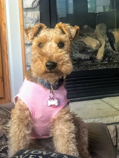 Entry image for Miss Betty. Clicking this image will show a larger photo
