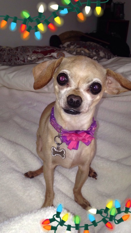 Entry image for Itty Bitty. Clicking this image will show a larger photo