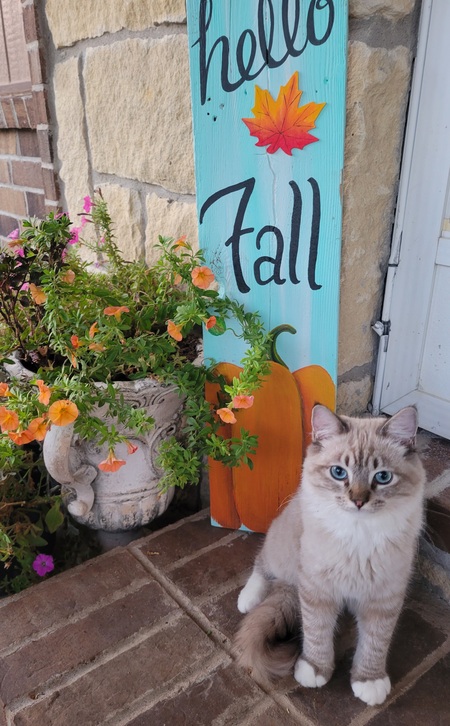 Entry image for BLUE. Clicking this image will show a larger photo