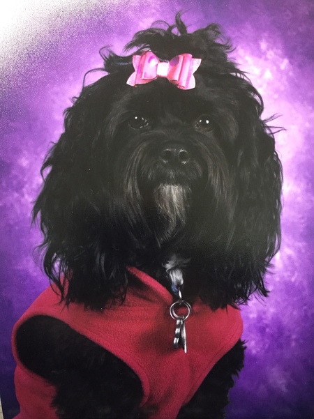 Entry image for Lettie. Clicking this image will show a larger photo