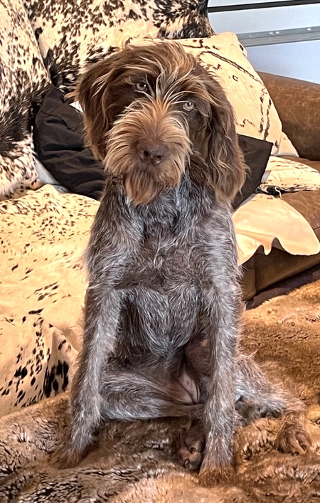 Entry image for Oakley. Clicking this image will show a larger photo