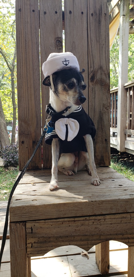 Entry image for Henry Indiana Jones Jr aka Indy. Clicking this image will show a larger photo