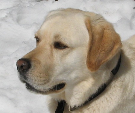 BAXTER.  Did somebody say "Beach"?