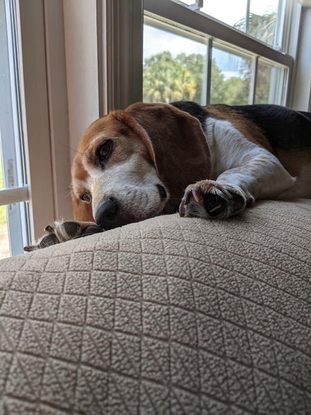 Benny