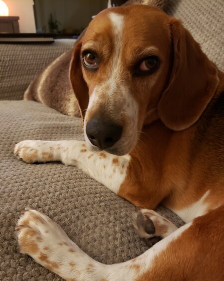 Buster