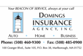 Domings Insurance