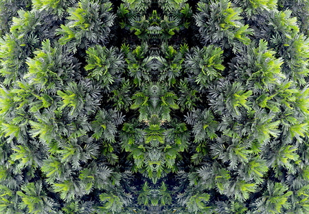 Wild Green