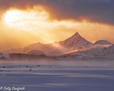 Golden Sunrise