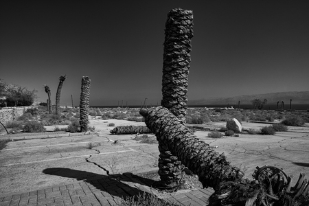 Dead Sea Dying [3]