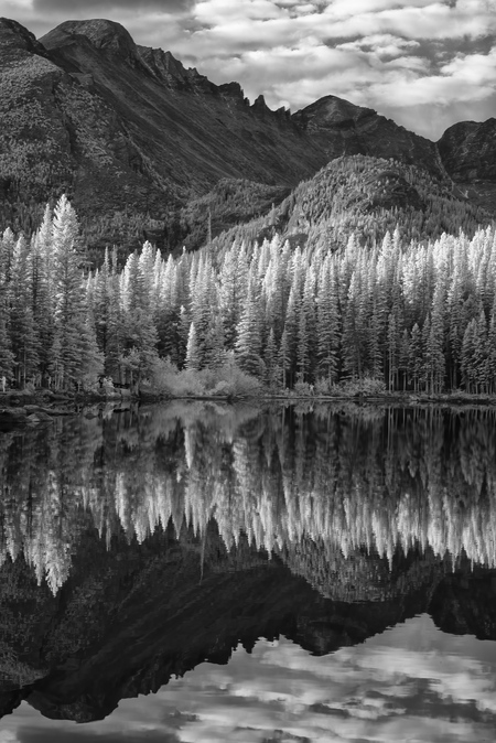 Longs Peak Reflection