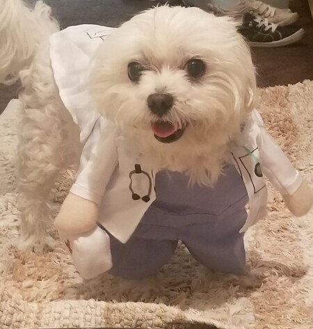 Sammy the Scleroderma Specialist