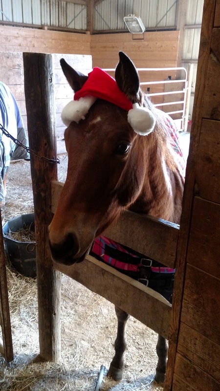 Belle with a Christmas wish for a cure