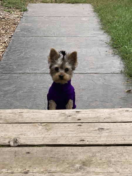 Roxy