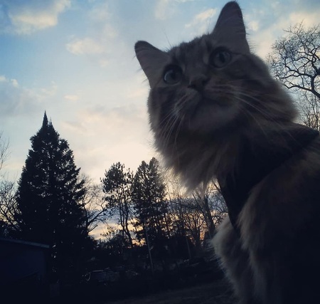 Bubber 