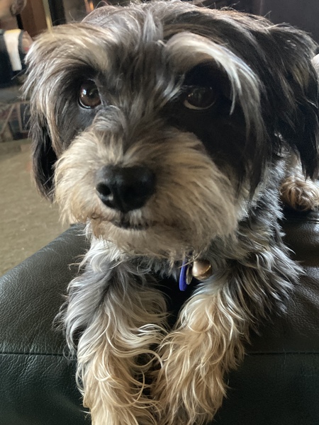 Ellie