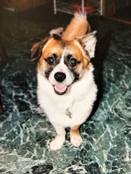 Gus