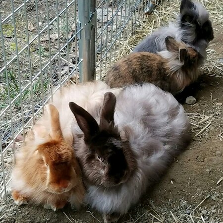 Cocoa and Cinnamon