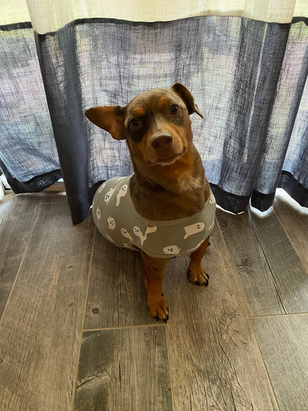 Ernie