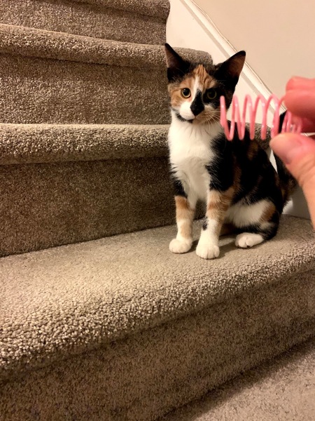 Smudge