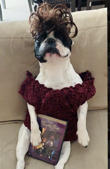 Rufus