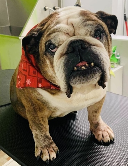 Louie