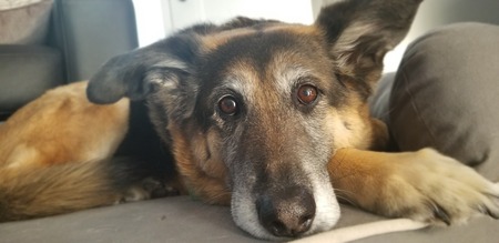 Sam