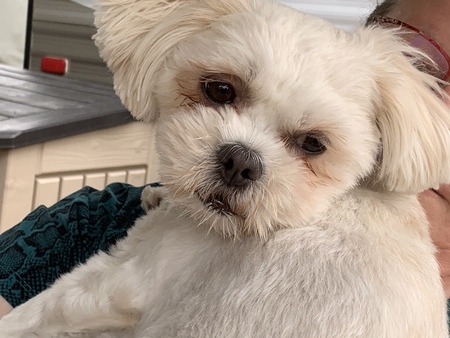 Bailey