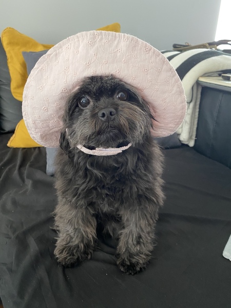 Maddie 