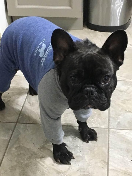 Tonka
