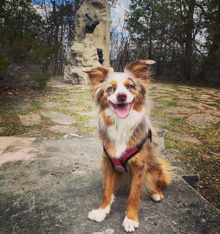 Reba