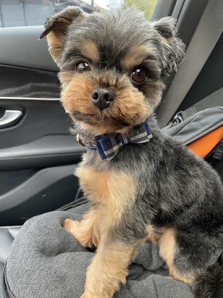 Romeo