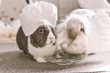 Méo & Lola
