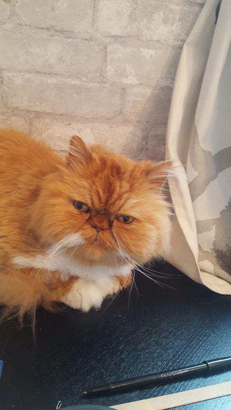 Crookshanks Louie Craig