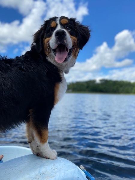 Ruby