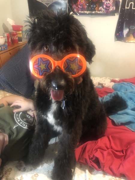Samson
