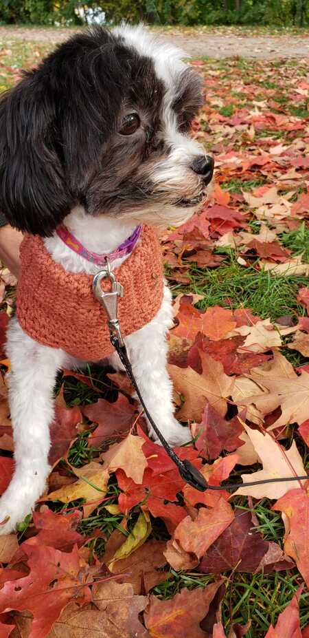 Leeloo